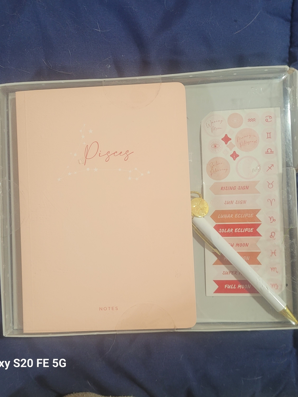 Pisces Pink Journal Set